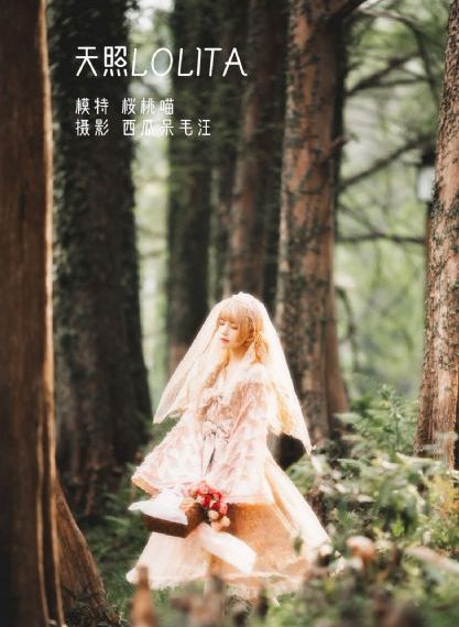记忆碎片_HD免费在线观看