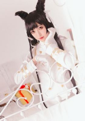 电视剧掌心免费观看完整版_DVD最新电影在线观看